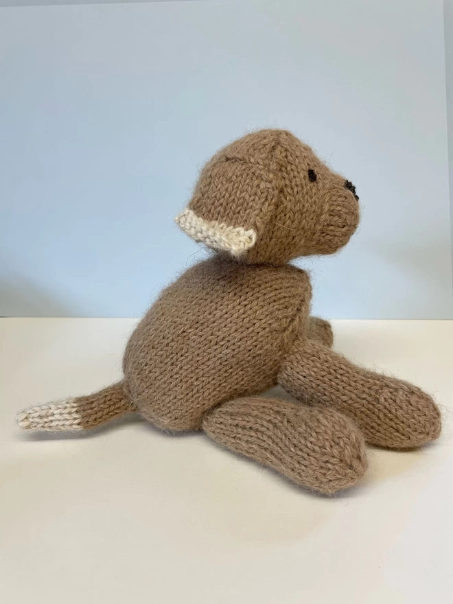 Side of Hand Knitted Dog