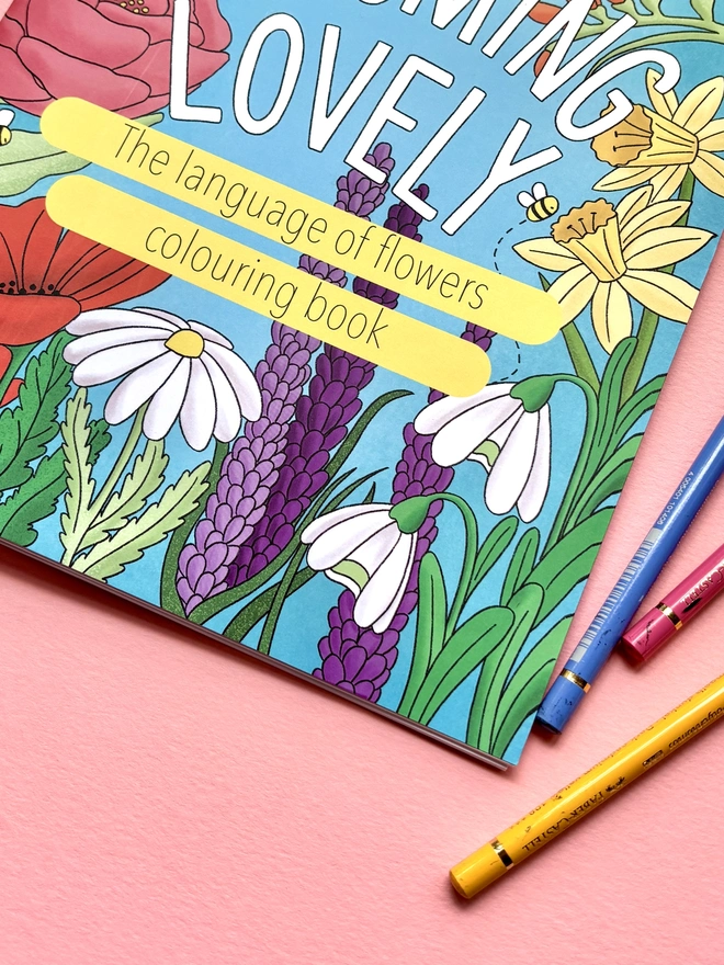 Illustrated a4 floral colouring book for adults and kids. A full colour cover reads ‘Blooming Lovely: the language of flowers colouring book’ surrounded by colourful wildflowers 