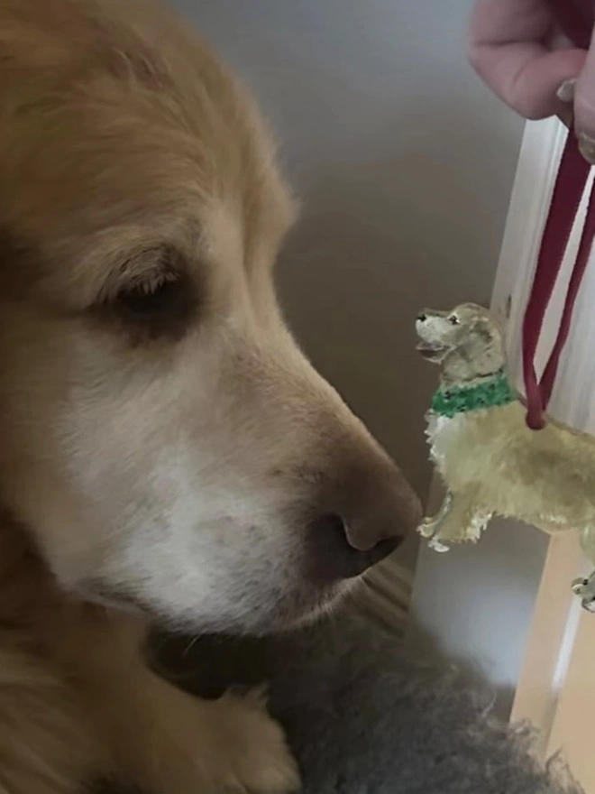 Golden Retriever Dog with a Golden Retriever Decoration