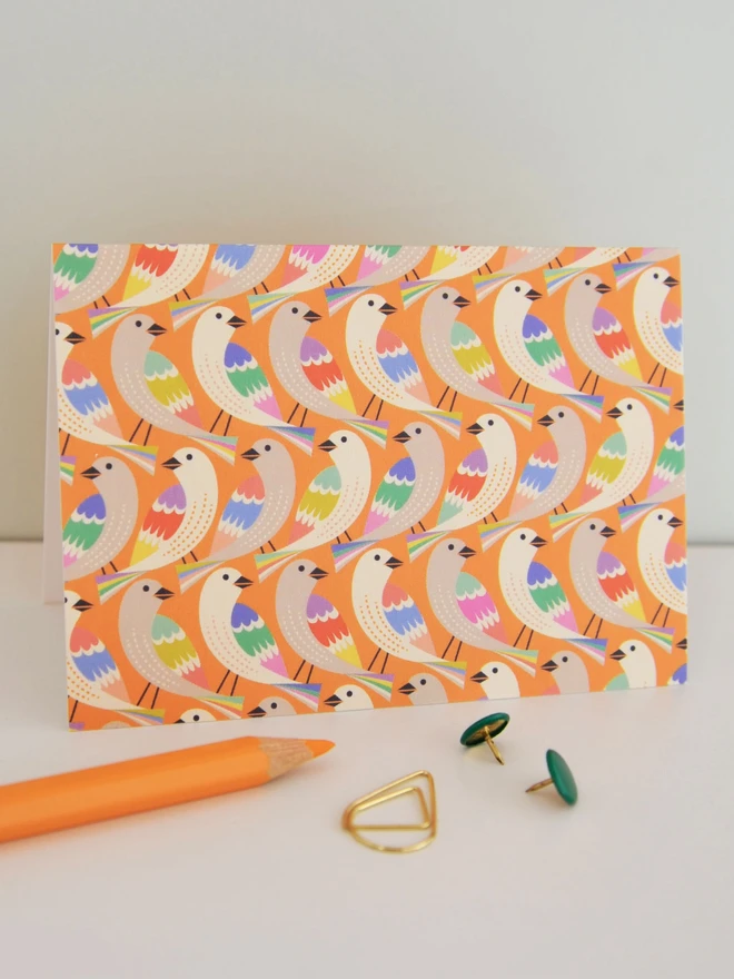 Birds Illustrated Notecard Pack