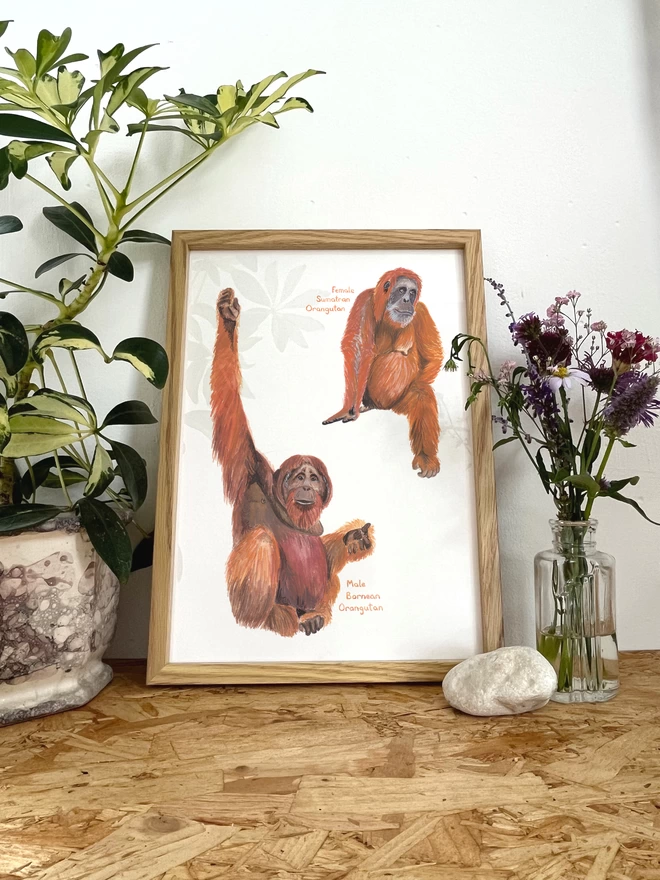 a print featuring a painted illustration of two orangutans in a frame next to some flowers and a plant