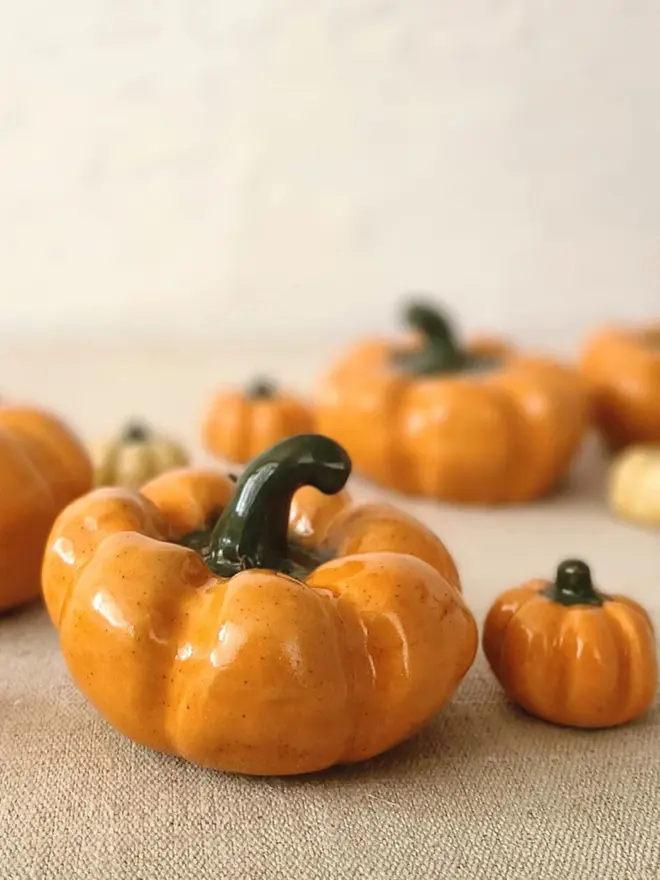 Classic Medium Pumpkins