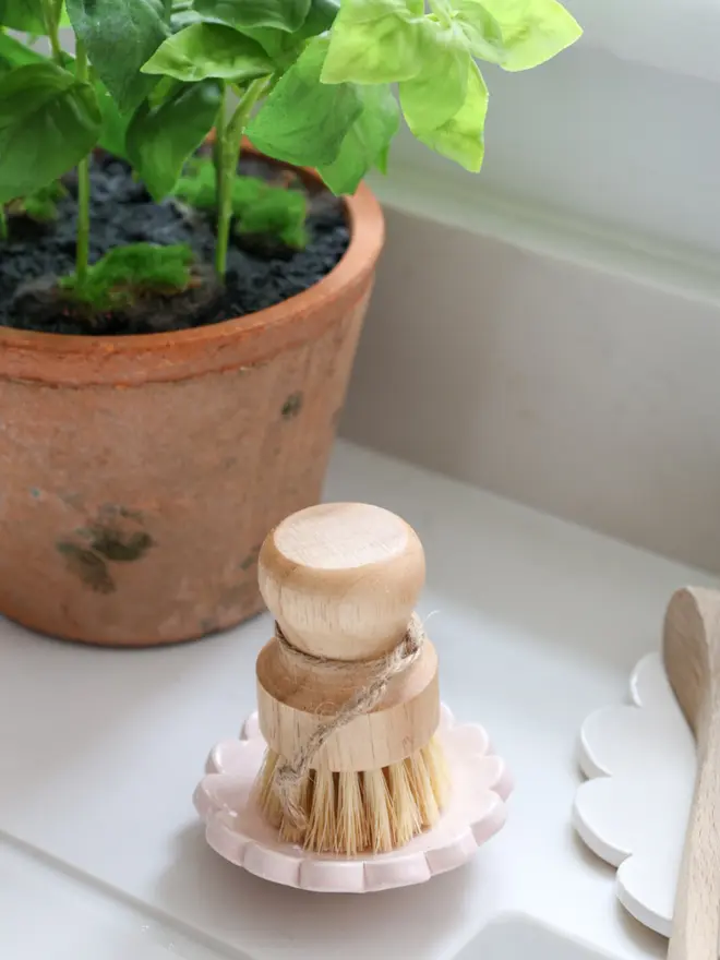 Pink Brush stand