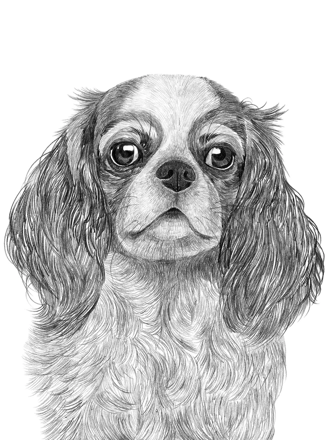 Detail of cavalier king charles dog art print