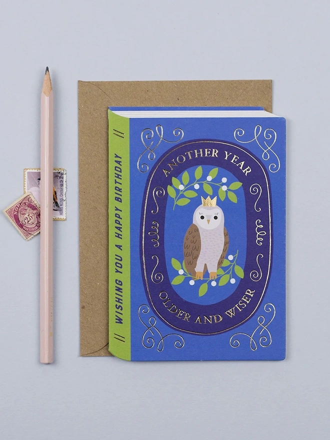 'Another Year Older And Wiser' Fairytale Owl Birthday Card