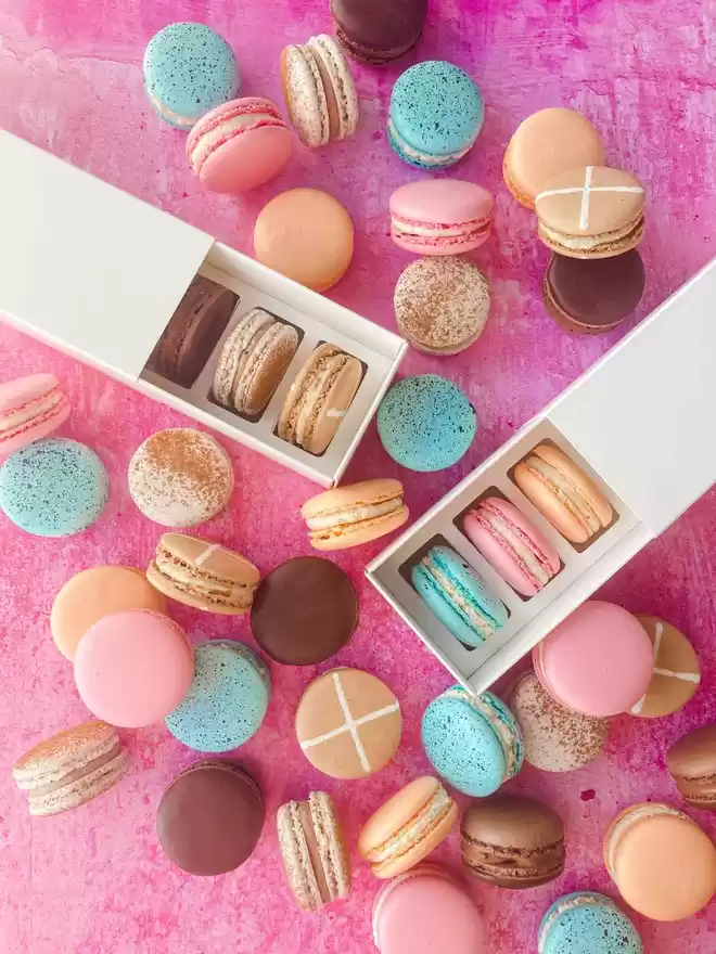 colourful easter macarons in white boxes on a pink background