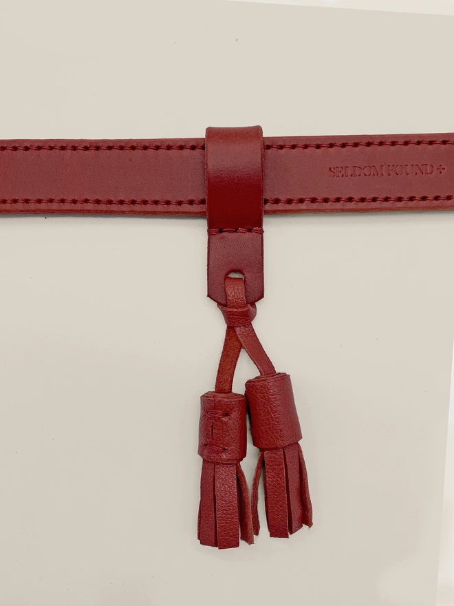 red moccasin tassels accessory on a red dog collar cloeup