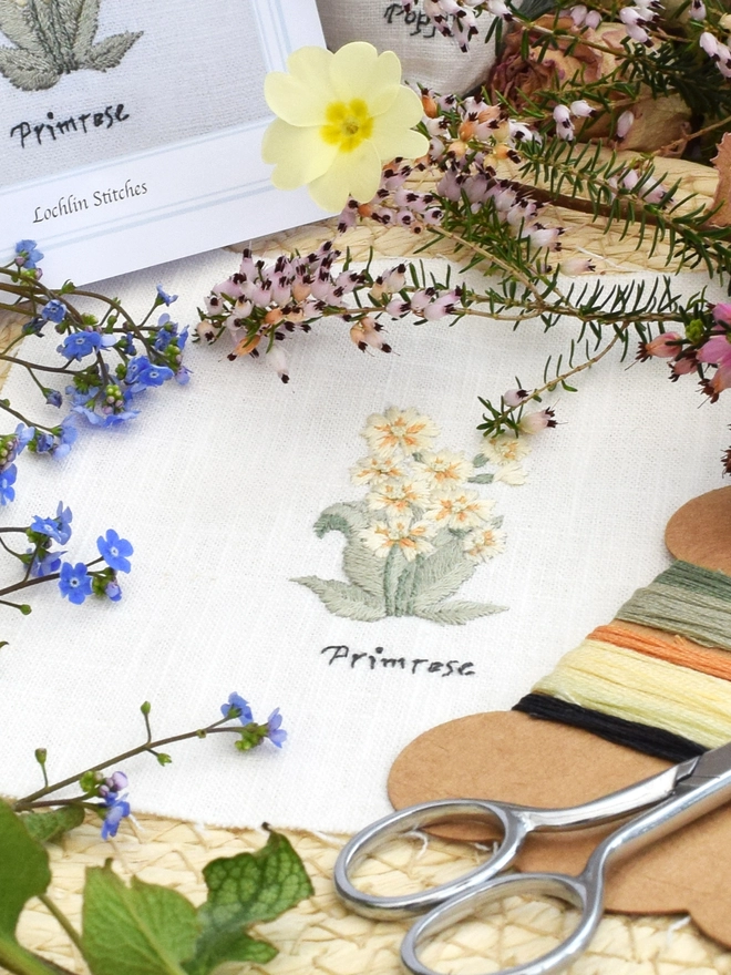 Floral Botanical embroidery kit of Primrose or Primula Vulgaris a symbol for February.  Meaning the sacred flower of freya (the Norse goddess of love), Early Youth, Happiness, Eternal love and modesty.