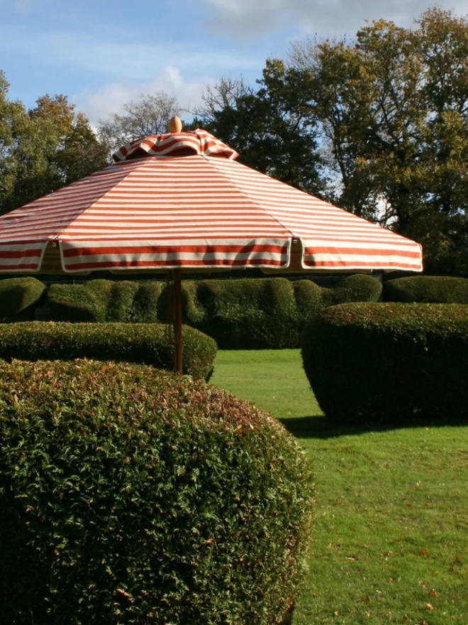 Striped Parasol. Parasol in paprika.