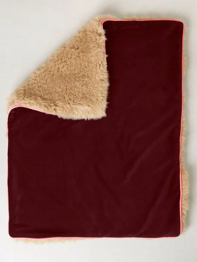 dog travel plushy cushion