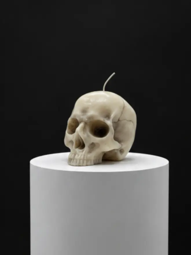 Skull on black background