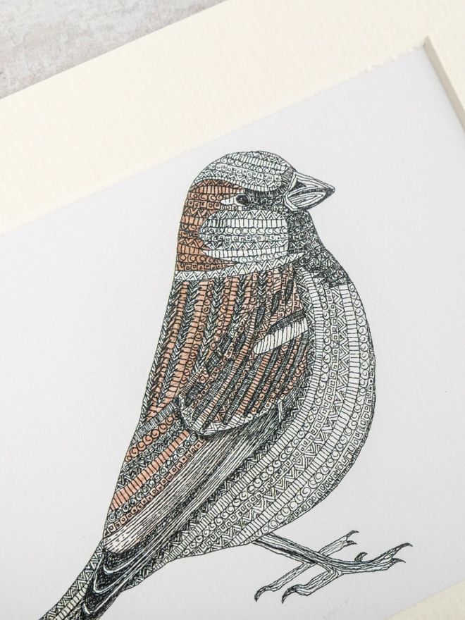 Note card with intricately patterned pen and watercolour drawing of a Sparrow bird, in a soft white mount