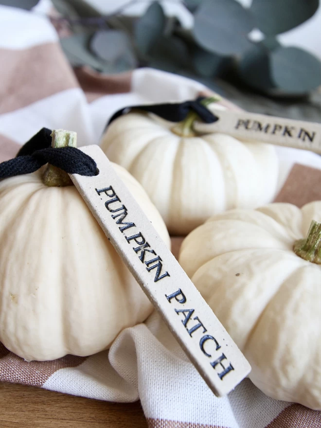 white pumpkin tied with a ceramic tag