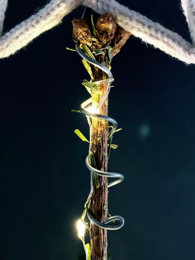 Close up of the leader branch of a Christmas tree showing the wire coil attaching a star to the top