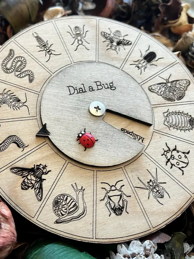 Round wooden insect identification dial toy engraved with detailed bug illustrations, featuring a rotating pointer labeled ‘Dial a Bug’ and a small red ladybird marker, displayed on forest floor materials.