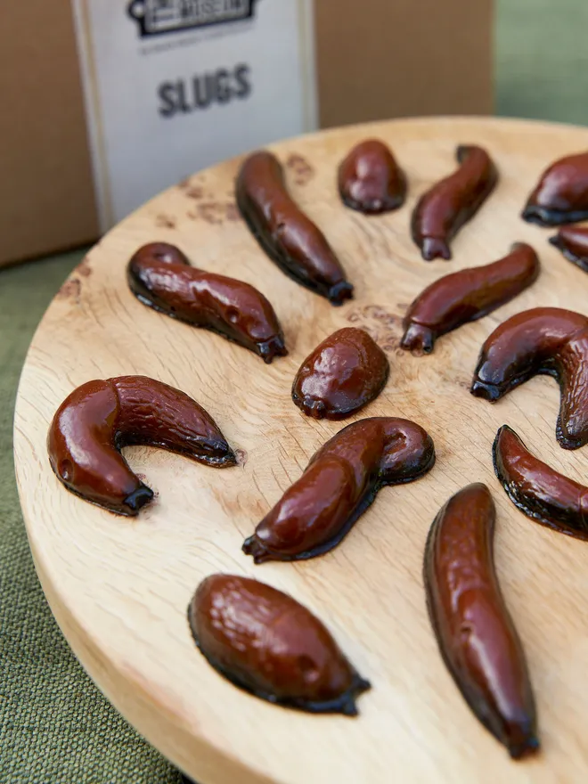 Chocolate Slugs 