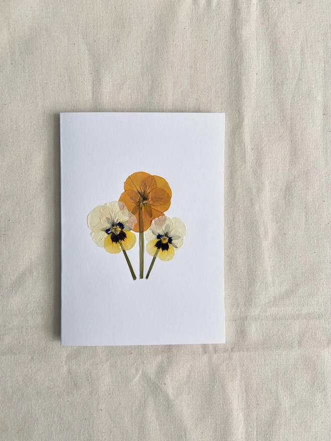 White greeting card with three pressed pansy flowers