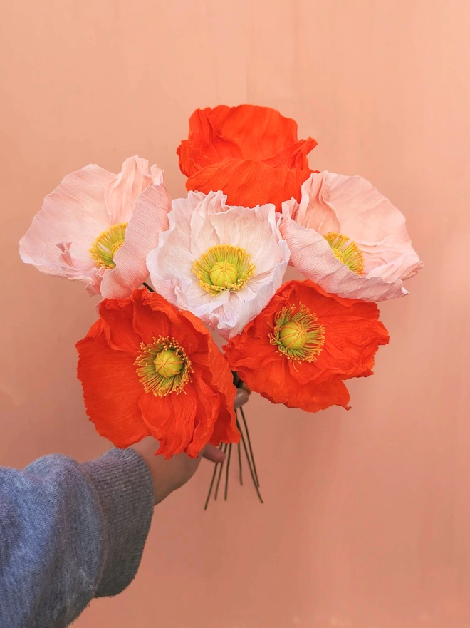 6 Poppies in a mix of orange and peach