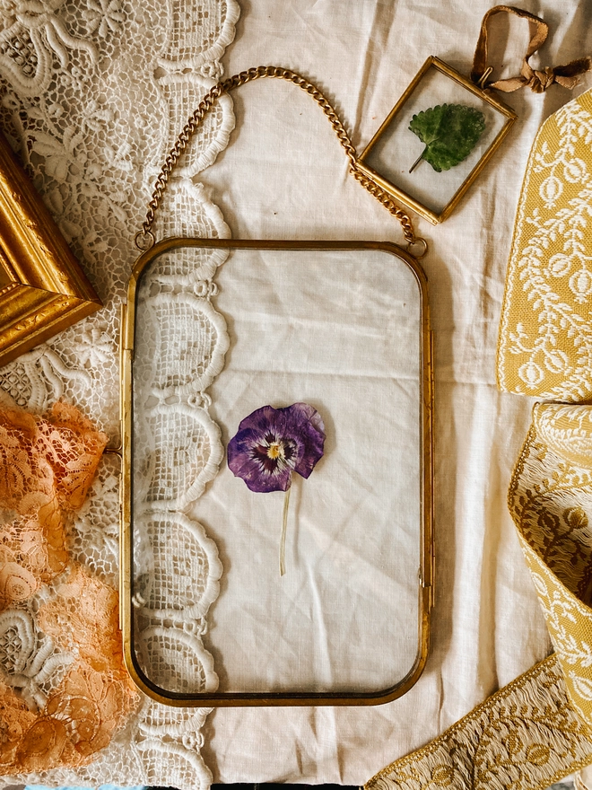 Large Pressed Pansy Framed Keepsake
