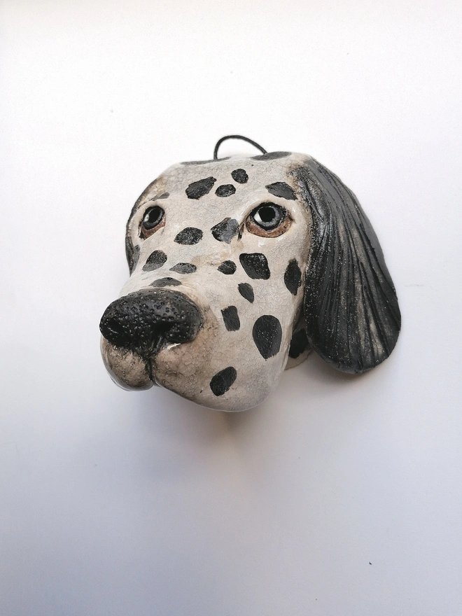Dalmatian Dog Head With Black Spots and Brown Eyes