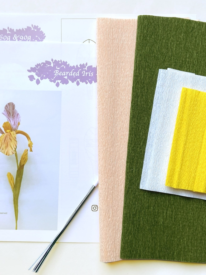Crepe Paper Bearded Iris DIY Kit
