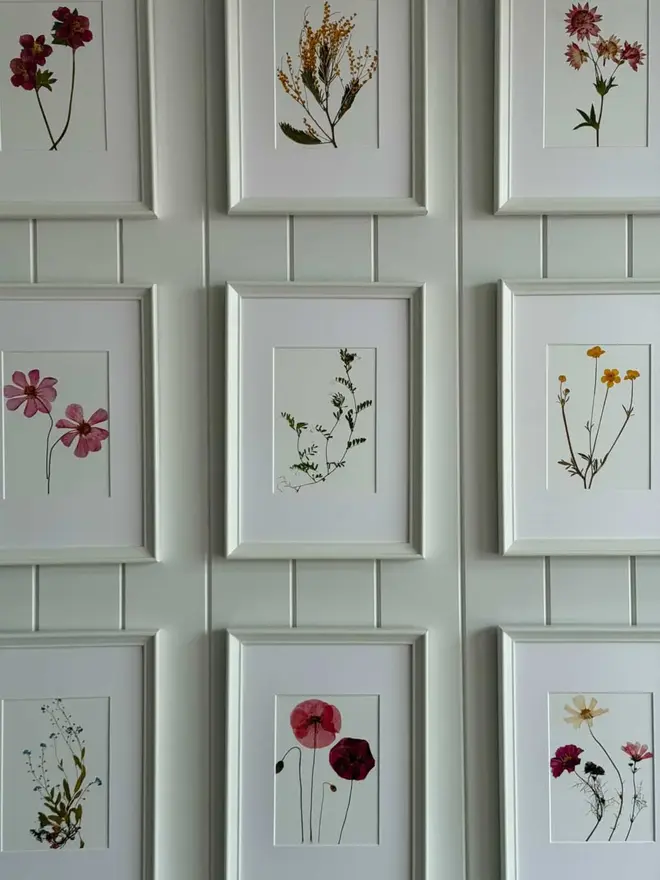 Pressed Wildflower Herbarium Print Collection (Set Of 12), a collection of flowery prints sitting hung up on a wall. 