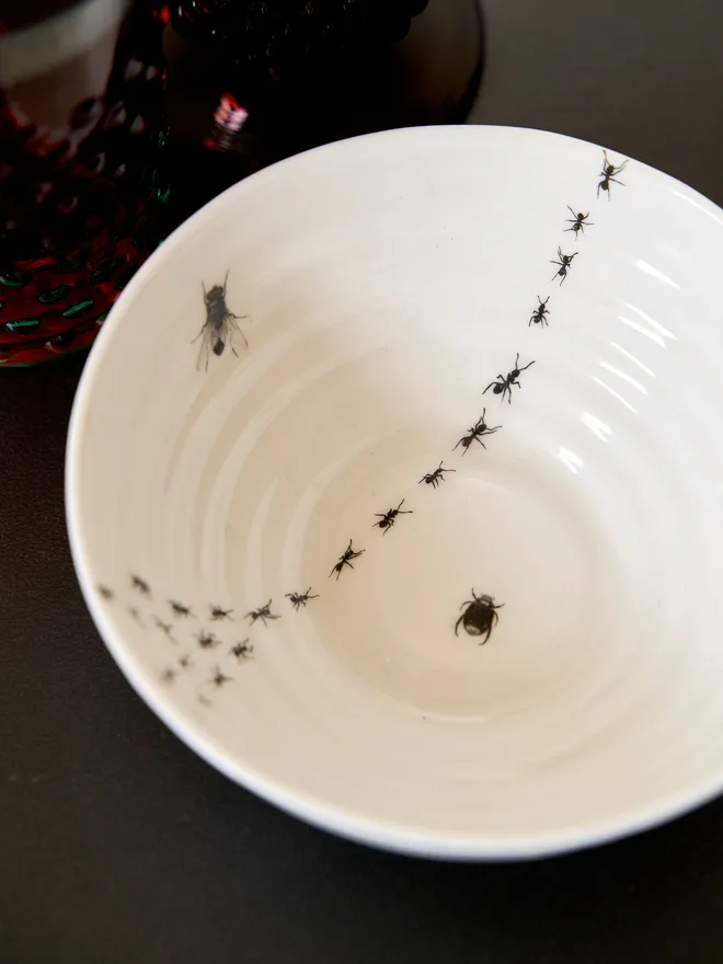 Insect ceramic bowl