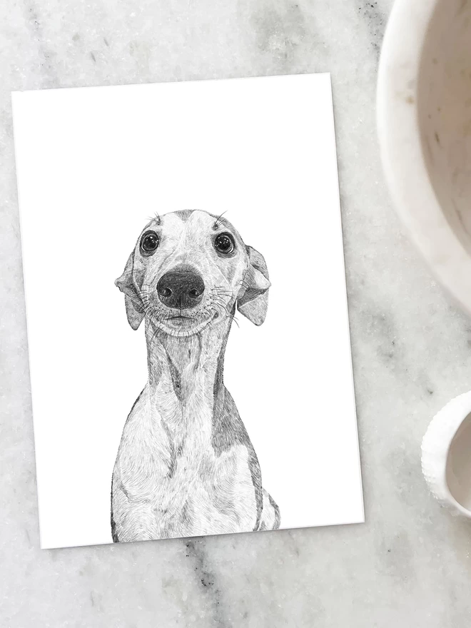 Art print of hand drawn portrait of a whippet puppy laying on a marble table