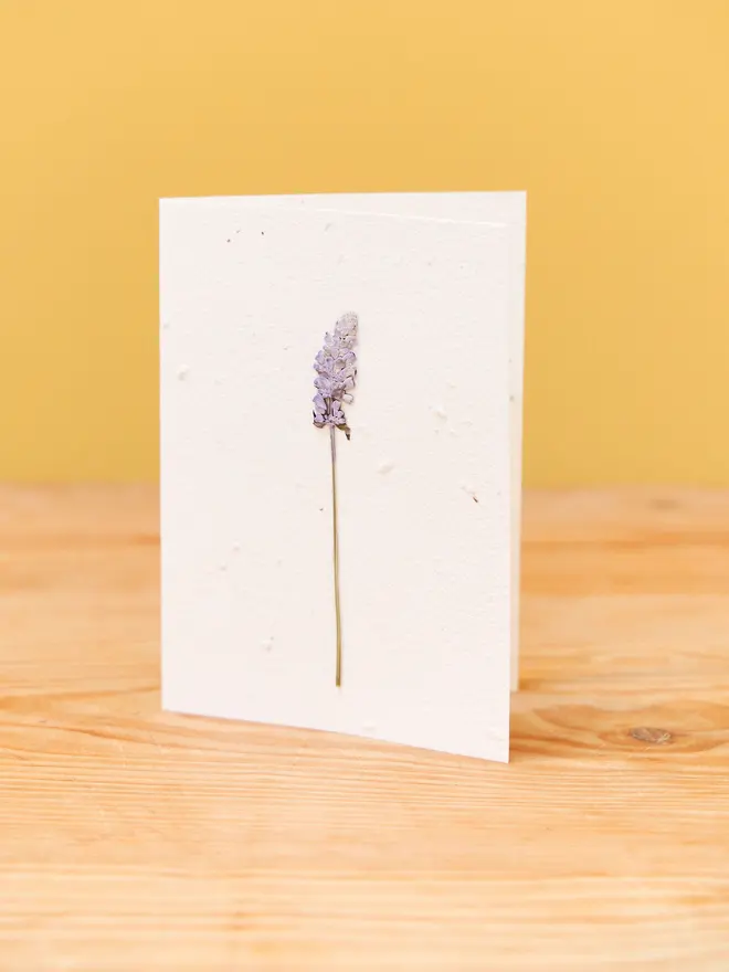 Real Pressed Flower Plantable Card, Lavender