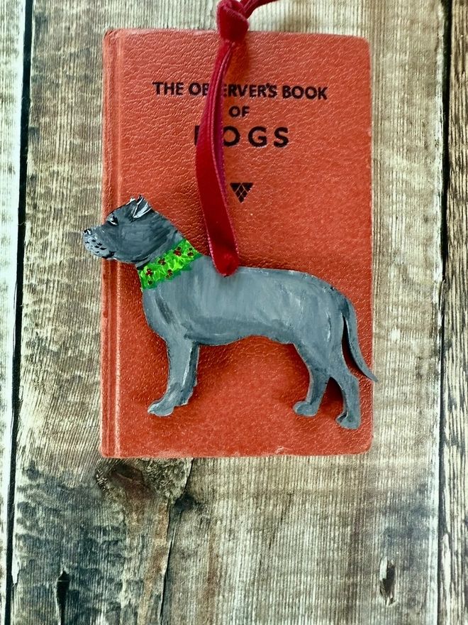 Grey Staffordshire Bull Terrier with a painted Holly wreath collar placed on a red book about dogs