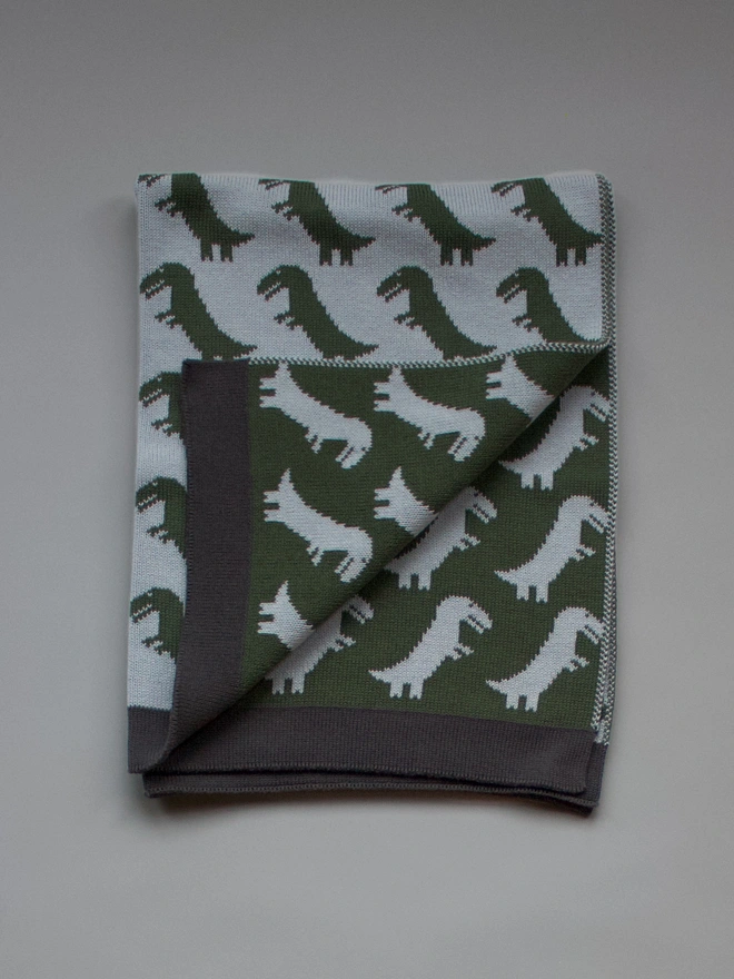 Dinosaur Blanket
