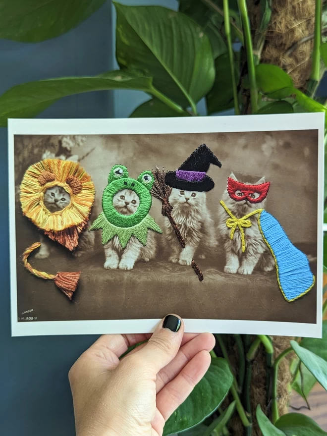  Black and white print 4 cats wearing embroidered frog, lion, superhero, witch costume