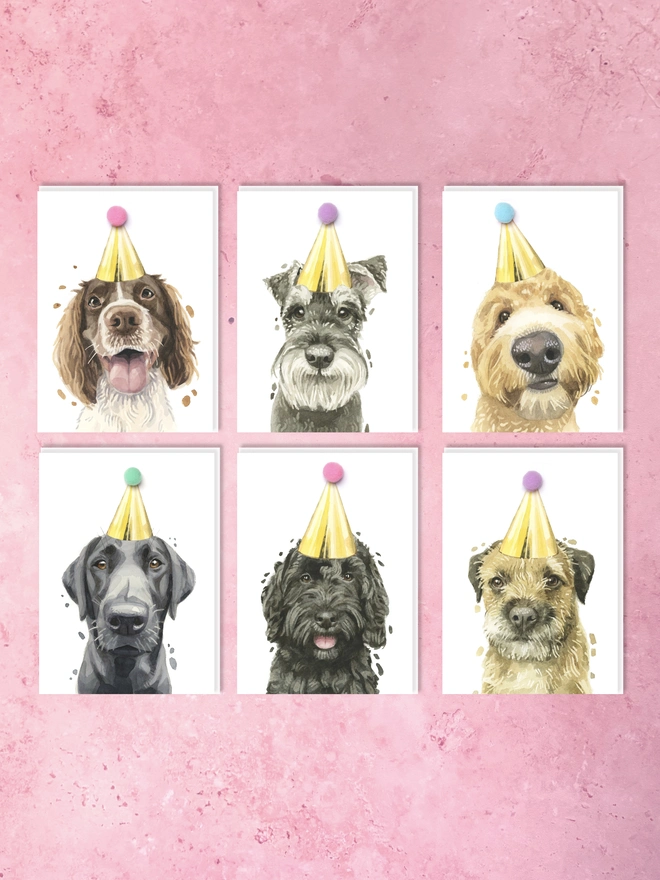 A pack of six birthday cards featuring one of each of my best selling hand-painted dog designs (Springer Spaniel, Schnauzer, Golden Doodle, Labrador, Cockapoo and Border Terrier), each adorned with a pastel coloured pompom