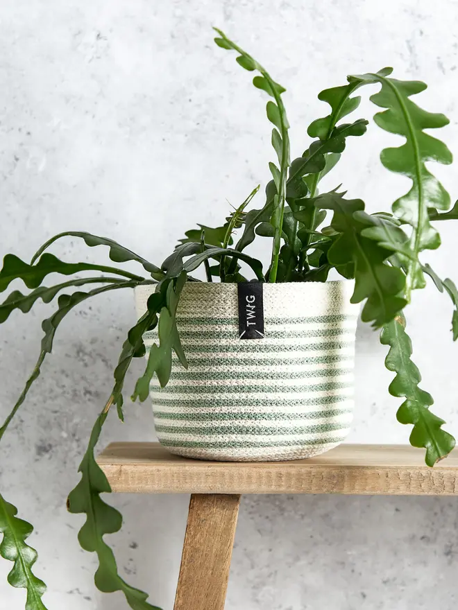 Small Striped Cotton Pot