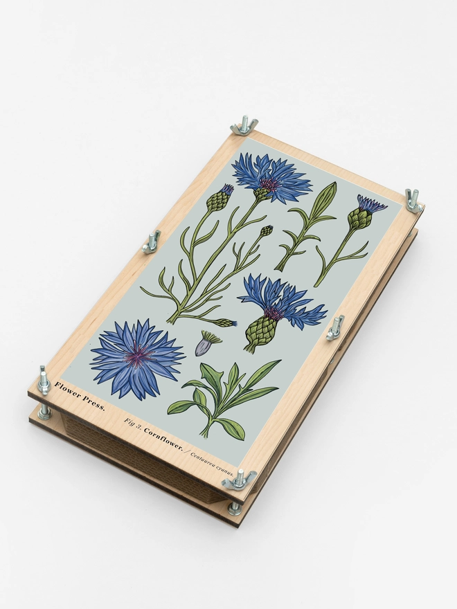Vintage style Cornflower Blue press