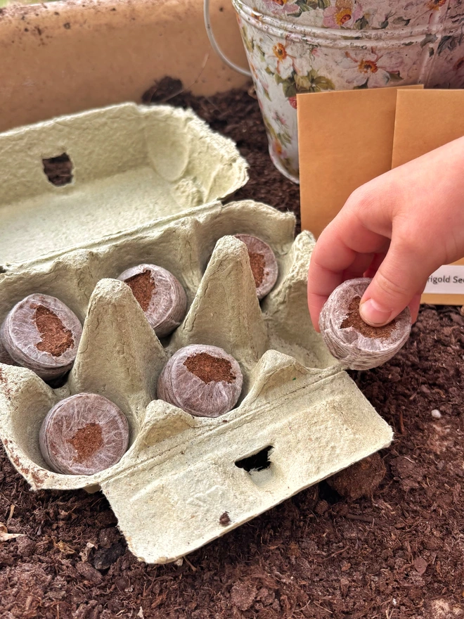 Open green egg box with compost discs inside. Child’s hand holding one compost disc. Kraft seed packets and white floral bucket in the background. All positioned on soil.