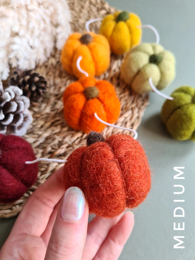 Rainbow Pumpkin Garland Autumn Home Decor