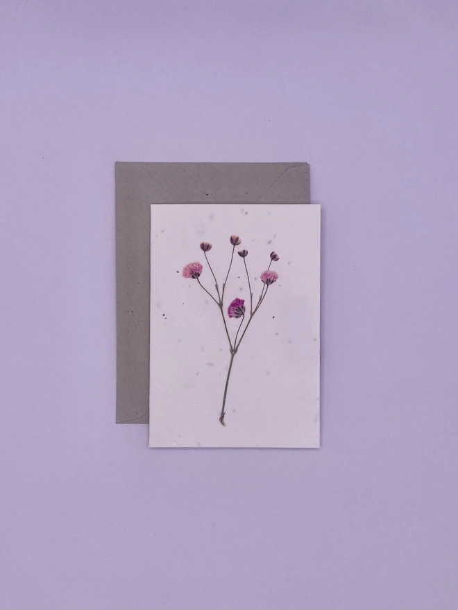 Real Pressed Flower Plantable Notecard, Pink Gypsophila