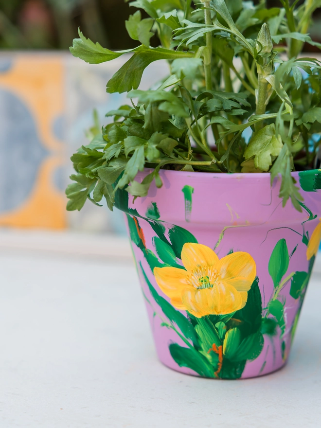 Hand painted pink plant pot with plant inside on an outdoor table
