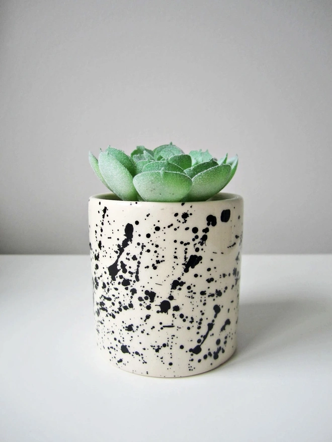 Set of 3 Splatter Plant Pots