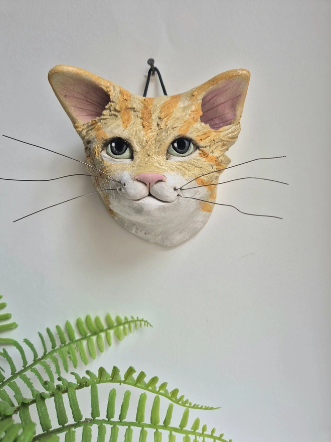 Ginger And White Tabby Cat head