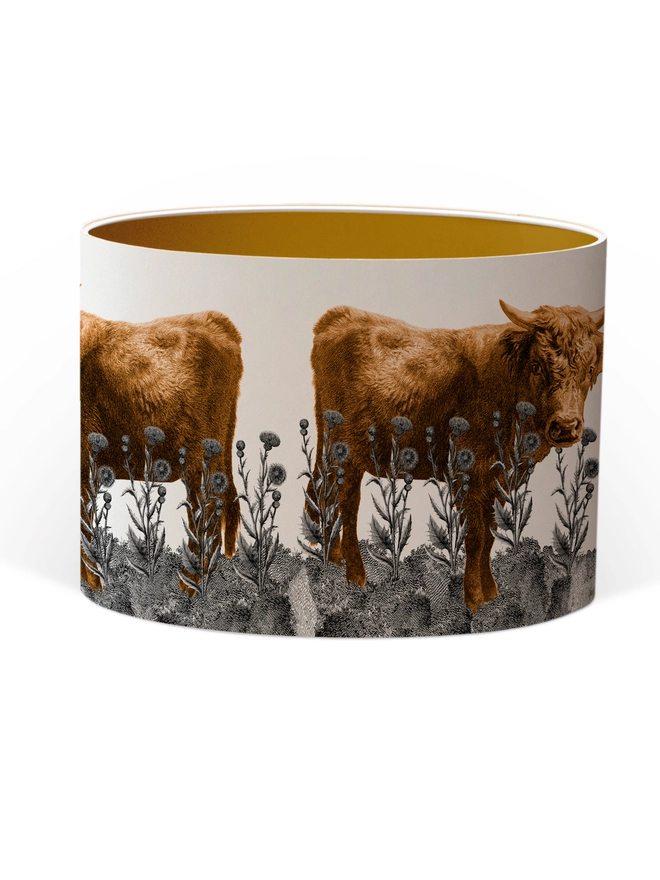 Lampshade of Highland Cow in a field of Scottish thistles