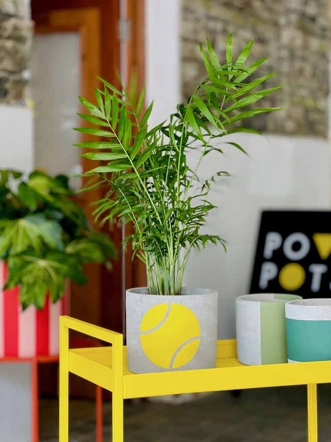 Concrete plant pot with yellow tennis ball design and a palm plant on a yellow trolley