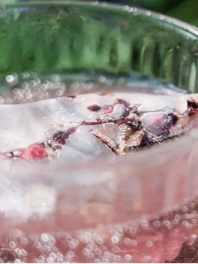 glass of pink tea with cherry cooler teabag