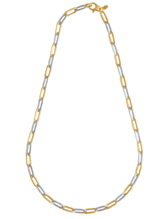 Mixed Metal Long Link Chain Necklace
