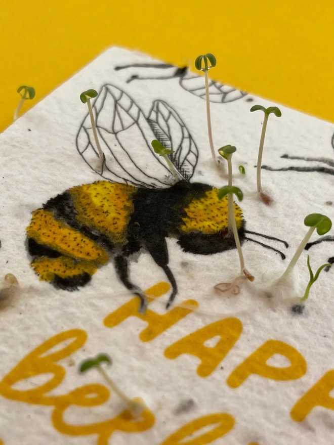 Dad You're The Bees Knees Plantable Card