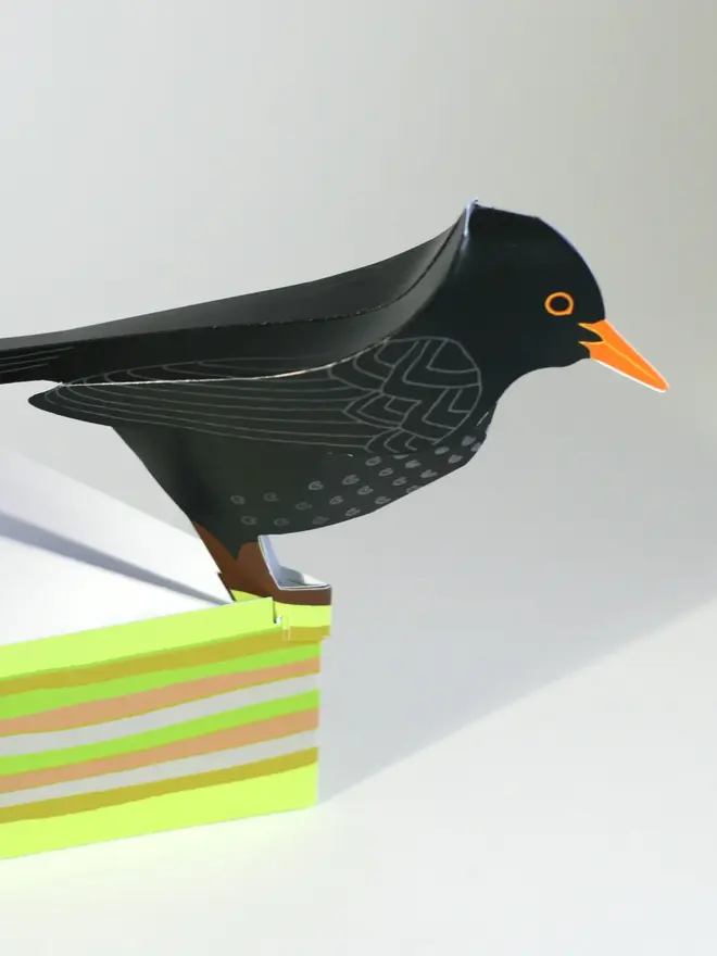 3d blackbird pop out card