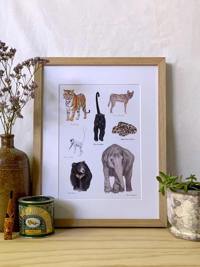 a print with a white background featuring illustrations of the real life animals that would be in the Jungle Book story