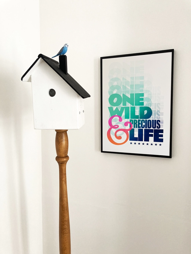 Framed multicoloued typographic print of the last line From Mary Oliver’s poem, The Summer Day - “One Wild And Precious Life” The print hangs on the wall alongside a bird box standard lamp.
