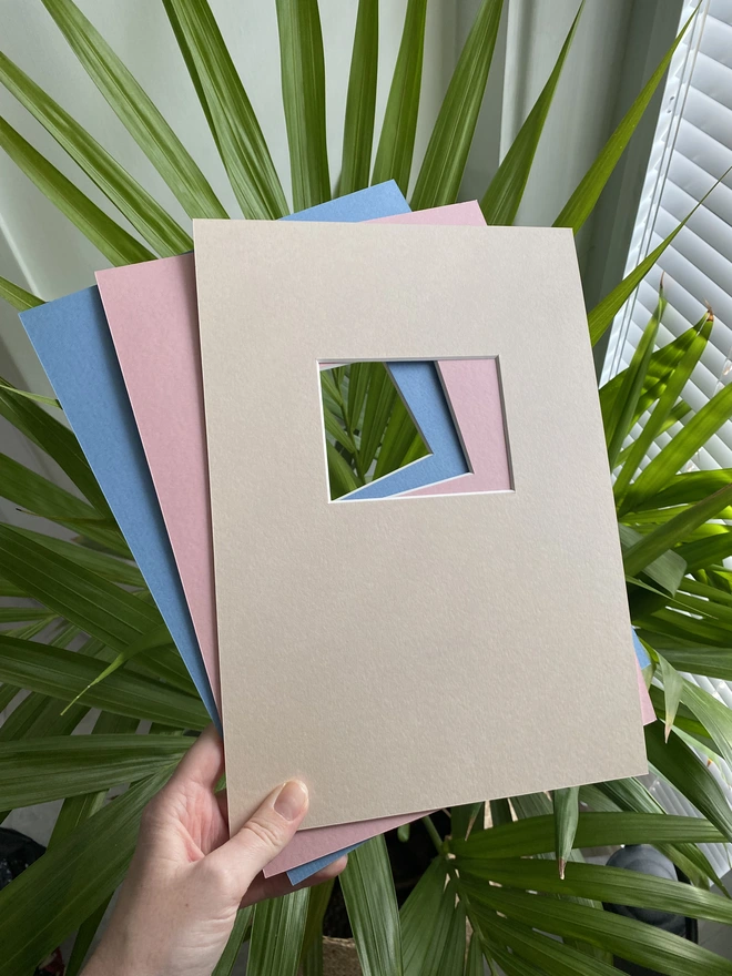 LNN's collection of baby scan mounts in various colours